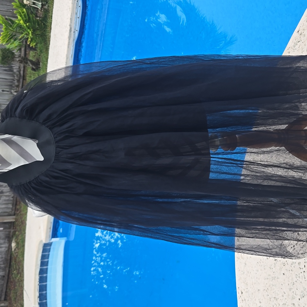 Elegant Black Tulle Open Front Skirt - Picture 4 of 5